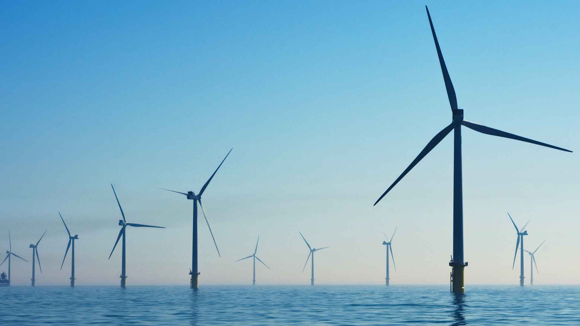 Suhaa Galaxy renewable energy experts at work